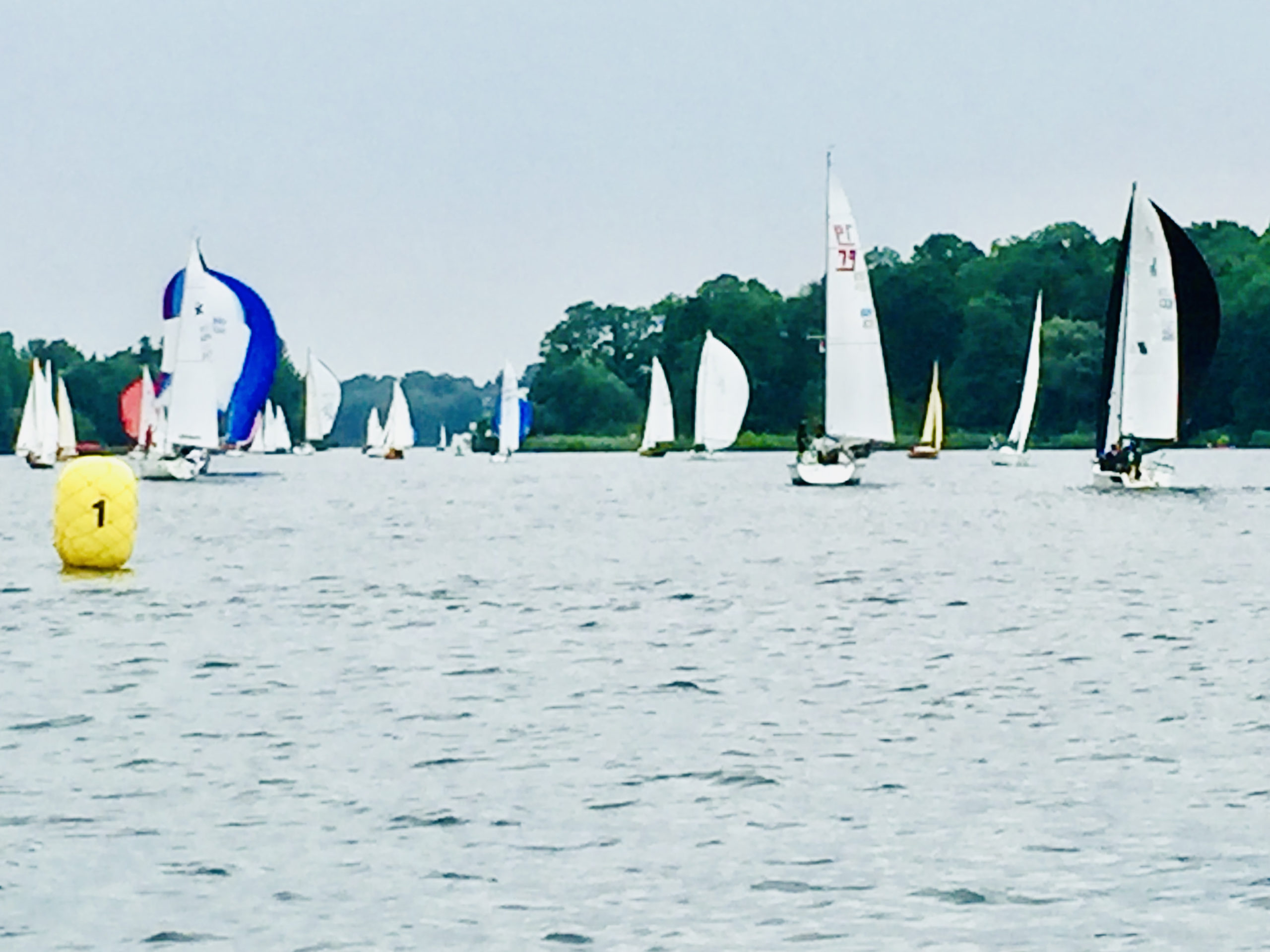 Regatta