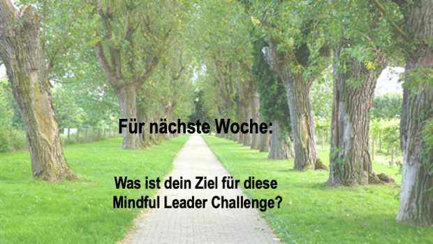 ZielMindfulLeader
