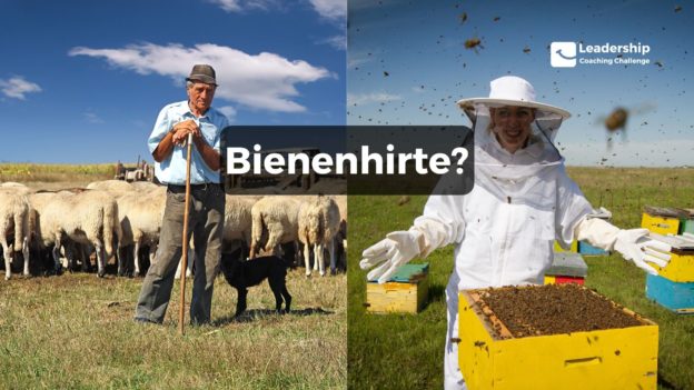 Metapher des Bienenhirten